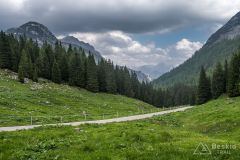 IMG_6623