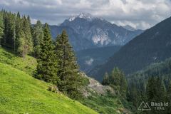 IMG_6634