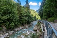 IMG_6646