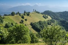 IMG_6654