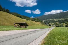 IMG_6656