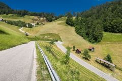 IMG_6681
