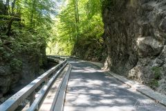 IMG_6689