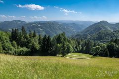 IMG_6693