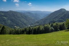 IMG_6696