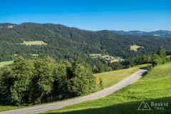 IMG_6708