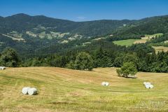 IMG_6727