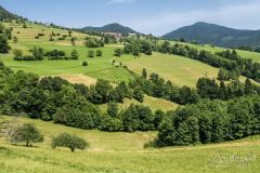IMG_6735