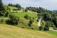 IMG_6738