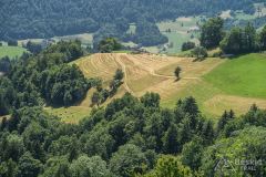 IMG_6744