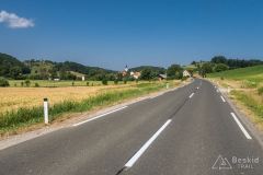 IMG_6762