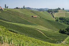 IMG_6770