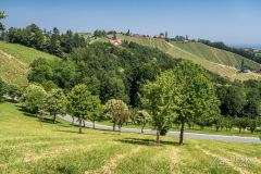 IMG_6773