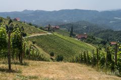 IMG_6775