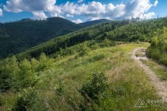 Trawers Romanki (Słowianka - Sopotnia Wielka)