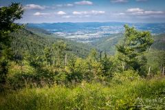 IMG_6944