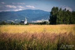 IMG_6951