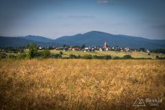 IMG_6952