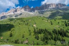 IMG_6974