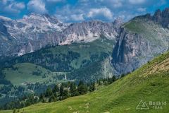 IMG_7002