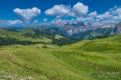 IMG_7003