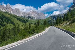 IMG_7013