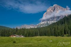 IMG_7032