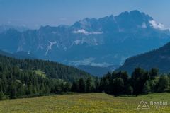 IMG_7041