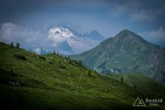 IMG_7042