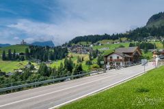 IMG_7050