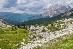 IMG_7070