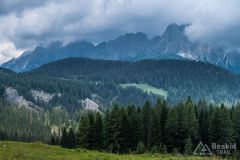 IMG_7116