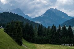 IMG_7130
