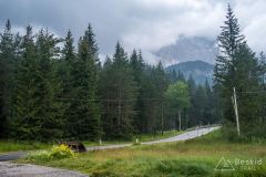 IMG_7145