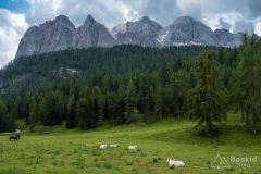 IMG_7171