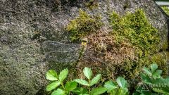 IMG_20210830_141233