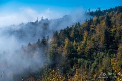 Szutrówka w kierunku czerwonego szlaku na Glinne