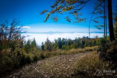 Szutrowy trawers Glinnego