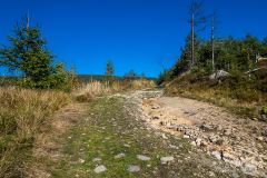 Szutrowy trawers Glinnego