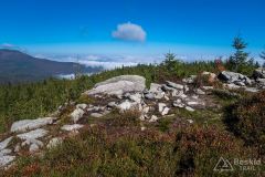 Magurka Radziechowska