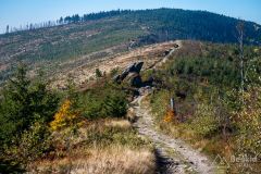 Czerwony szlak pomiędzy Magurką Radziechowską a Magurką Wiślańską