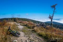 Czerwony szlak pomiędzy Magurką Radziechowską a Magurką Wiślańską