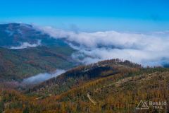 Czerwony szlak pomiędzy Magurką Radziechowską a Magurką Wiślańską