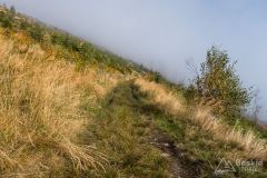 Ścieżkowy trawers pod Magurkami