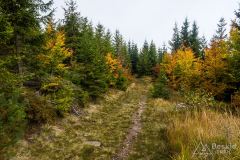 Ścieżkowy trawers pod Magurkami