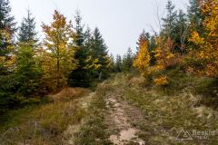 Ścieżkowy trawers pod Magurkami