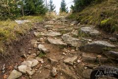 Czerwony szlak na Glinne