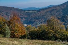 Na zielonym szlaku pomiędzy Jaworzyną a Mędralową Zachodnią