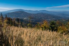 Na zielonym szlaku pomiędzy Jaworzyną a Mędralową Zachodnią