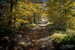 Na  czerwonym szlaku za Mędralową Zachodnią